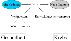 Krebs als Ordnungszustand