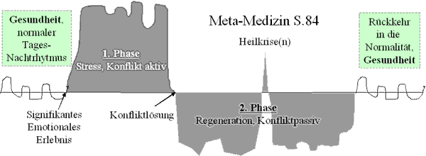 Metamedizin- Konflikt-Konfliktl?sung