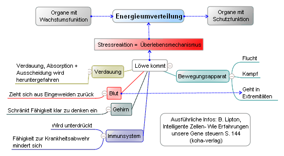 Wie sich durch Wachstum und Schutz körperliche Vorgänge ändern