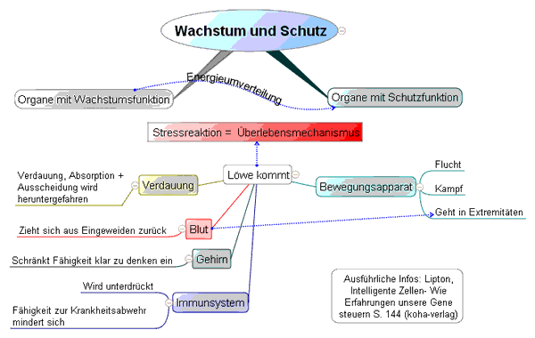 Wachstum und Schutz