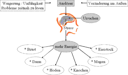 krebs Zuordnung